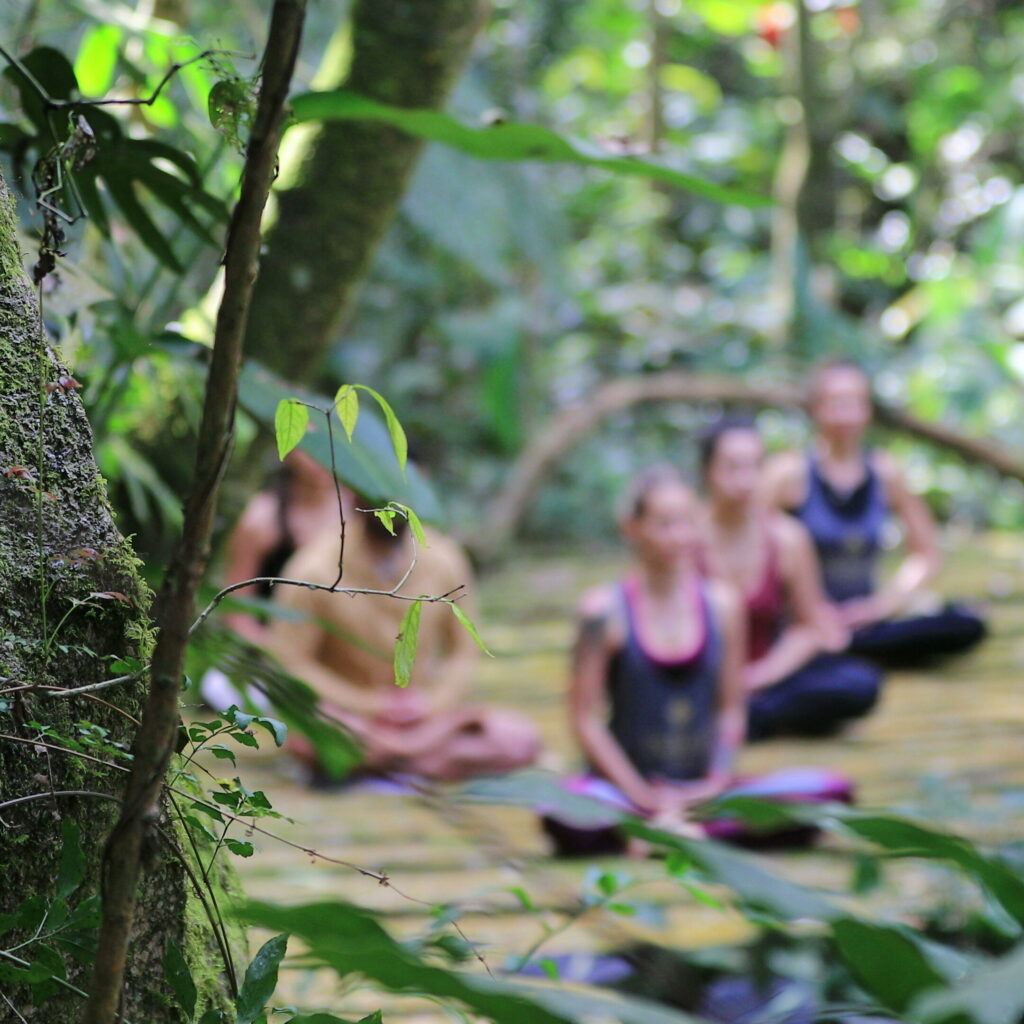 People meditating outdoors in nature. Group of friends in meditatin together